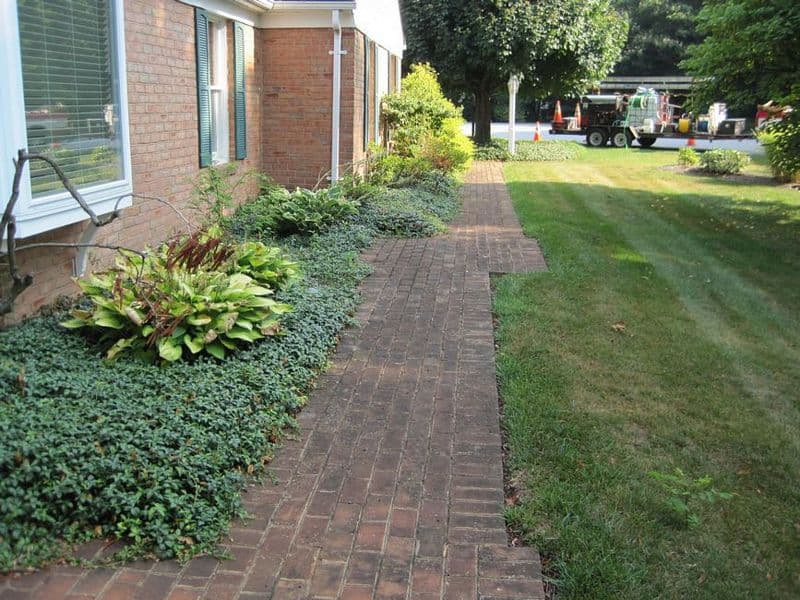 Dirty Brick Hagerstown MD Pavers need Cleaning