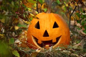 Halloween pumpkin on fallen autumn leaves with a smile on his face.