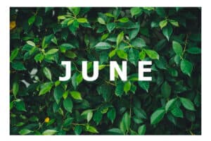 Hello June from Complete Power Wash pressure washing company in Hagerstown, MD